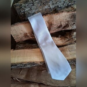 Elegant Silver Tie for Men